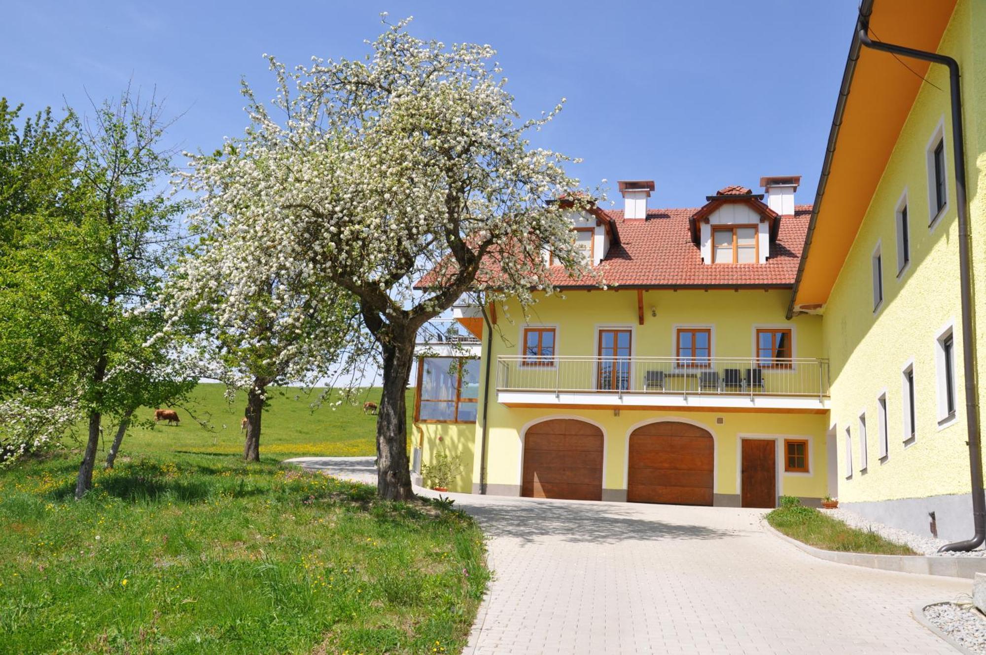 Ferienwohnung Mayrhofer Hofkirchen im Mühlkreis Exterior foto